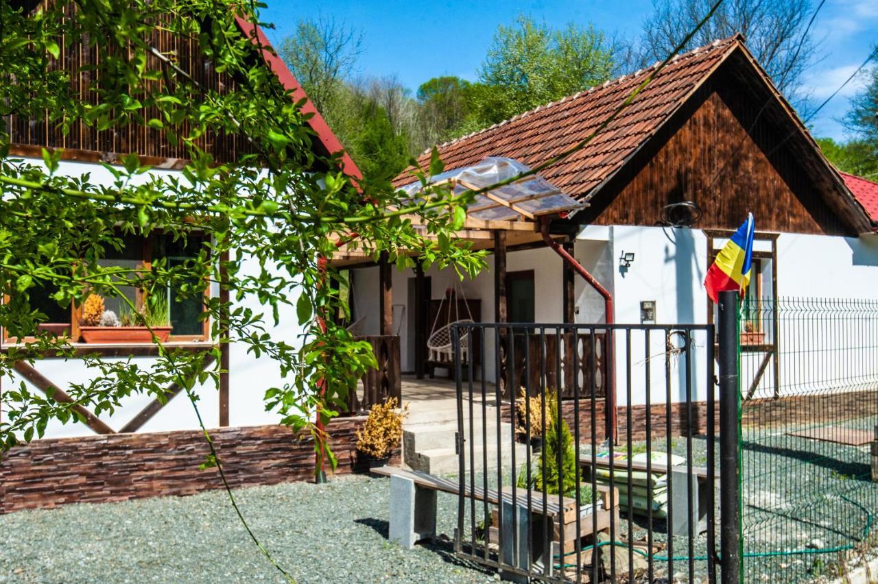 Pensiunea Anda - Savarsin Exterior photo